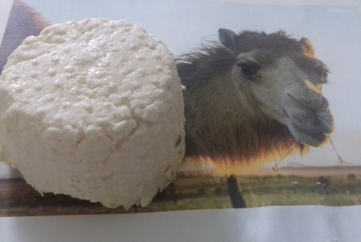 Commercial scale equid and camel cheese possible through natural thickening substances