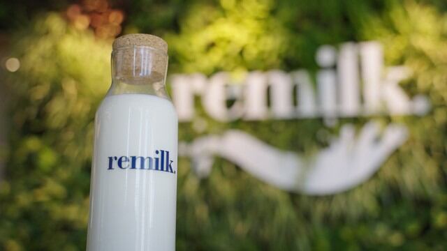 remilk barista-friendly milk