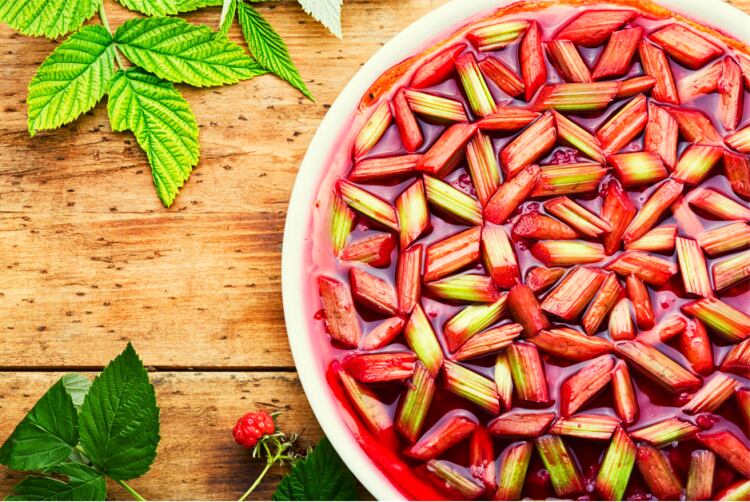 Synergy_MichelinFlavours_Rhubarb-lowres-1-002.png