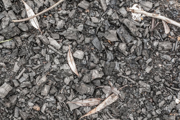 Biochar, the charcoal-like substance produced from wood residues via pyrolysis, is recognised as an important carbon removal technology