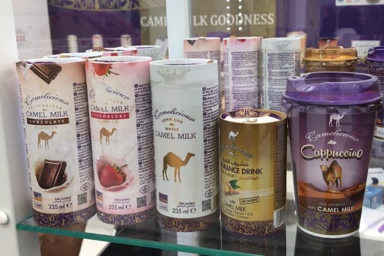 Camelicious looks to European market