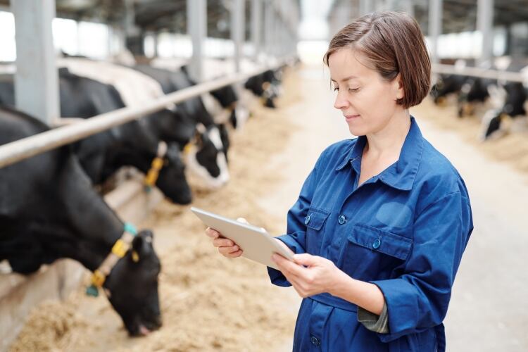 Dairy supply company Milk Moovement raises $3.2m for expansion