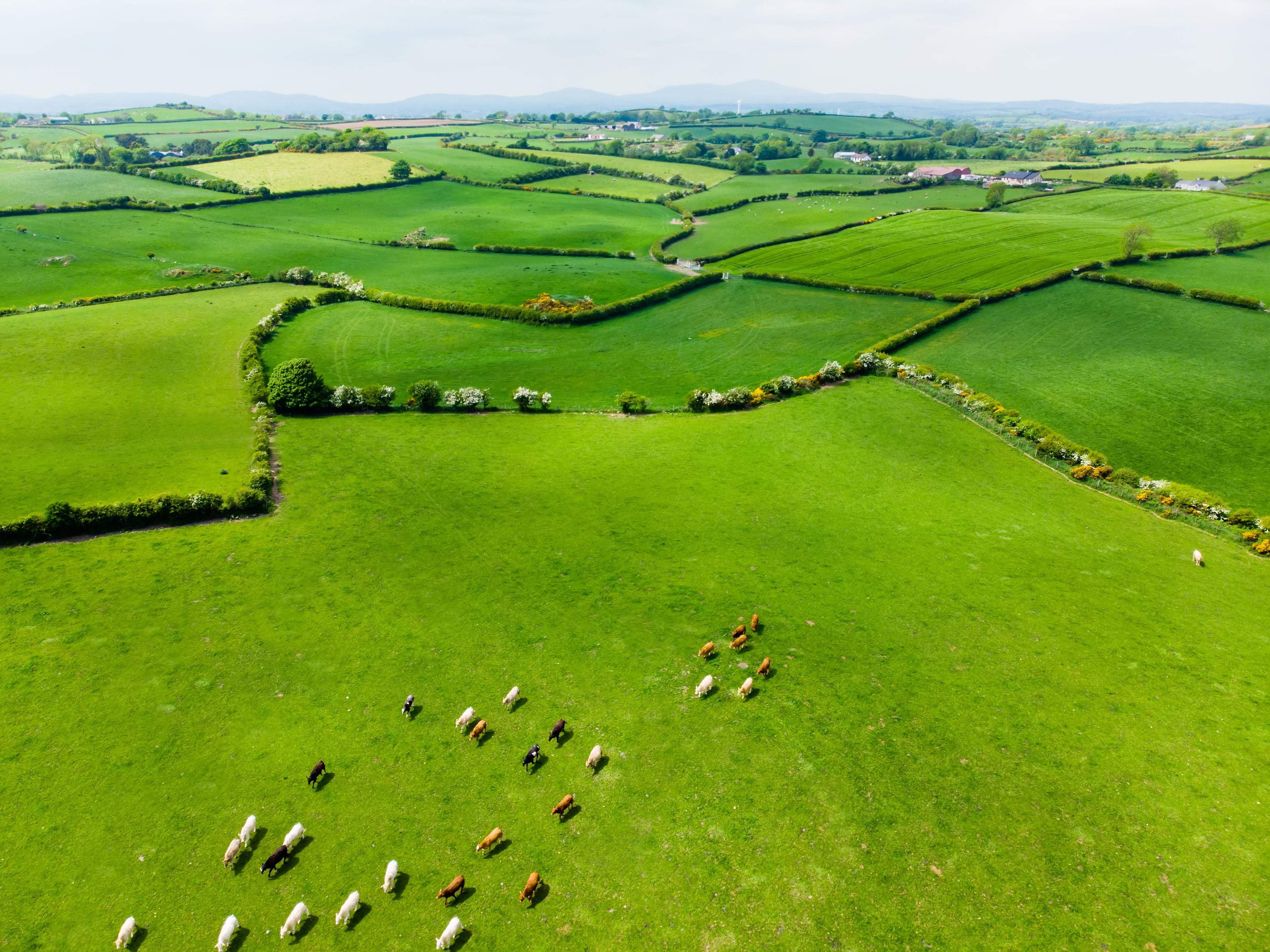 ProvVari aims to be a game-changer for grassland farming – combining space technology, AI, and precision agriculture to deliver sustainability and profitability in equal measure.