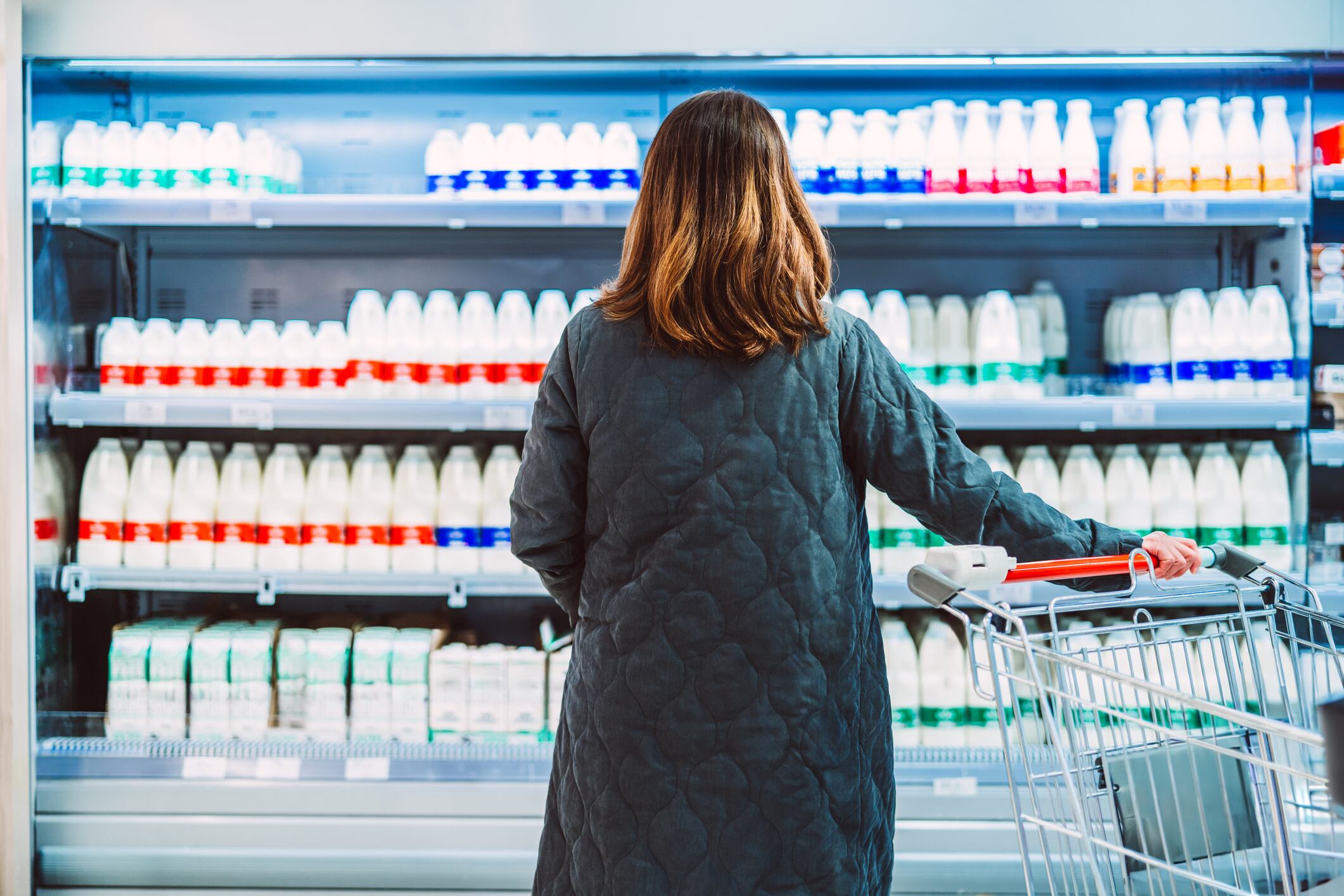 Rear view shot of a female customer looking and choosing fresh bottled milk while standing in front of a display fridge full of diary products in supermarket. The concept of choice.