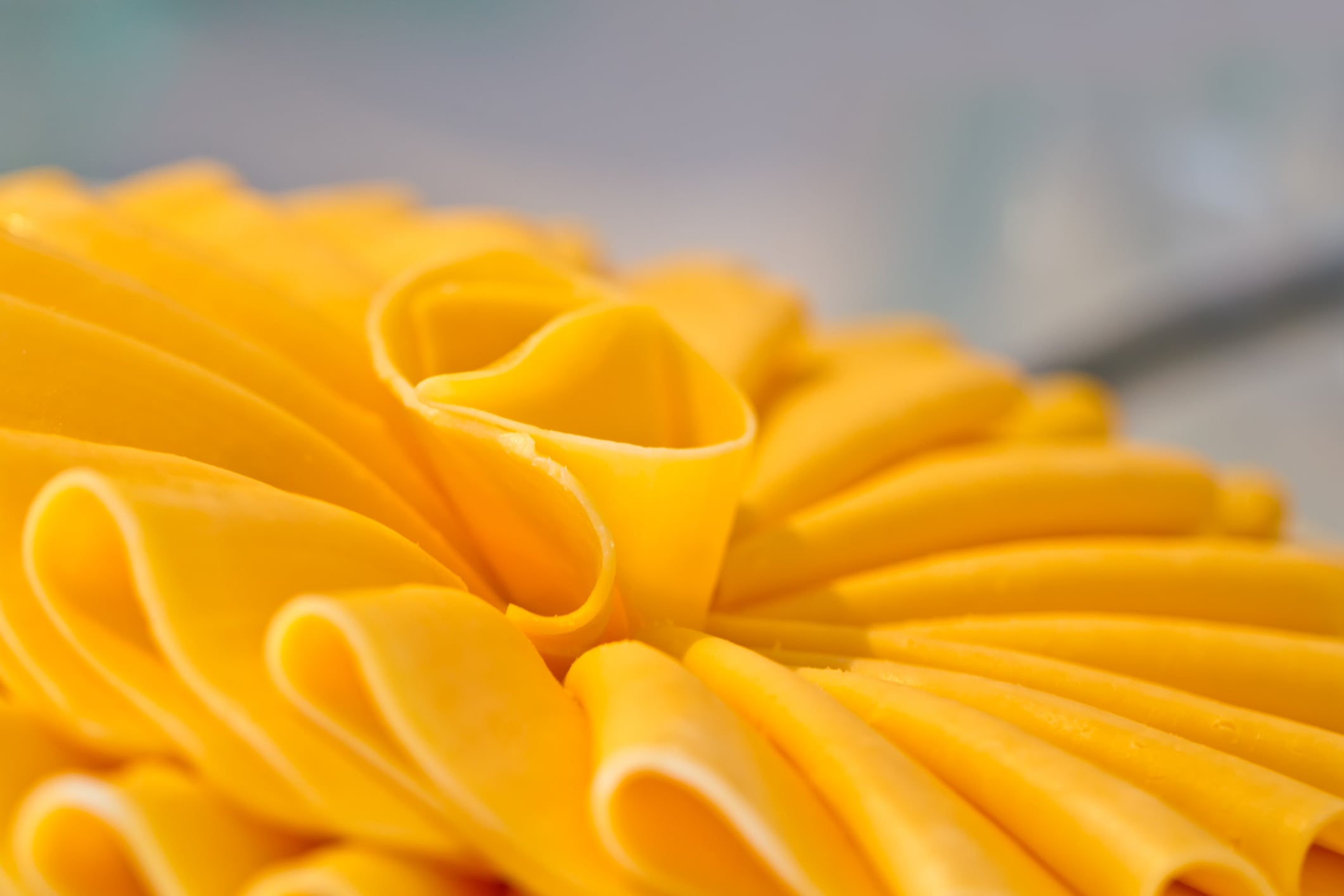 Brazil-Study-finds-viral-and-bacterial-contamination-of-semi-hard-cheeses.jpg