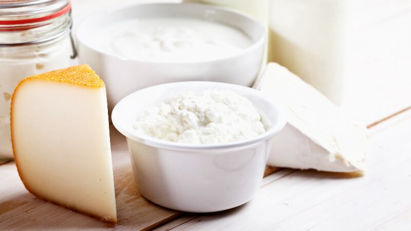High consumption frequency of cheese and yoghurt could reduce occurrence of asthma symptoms – Iran study