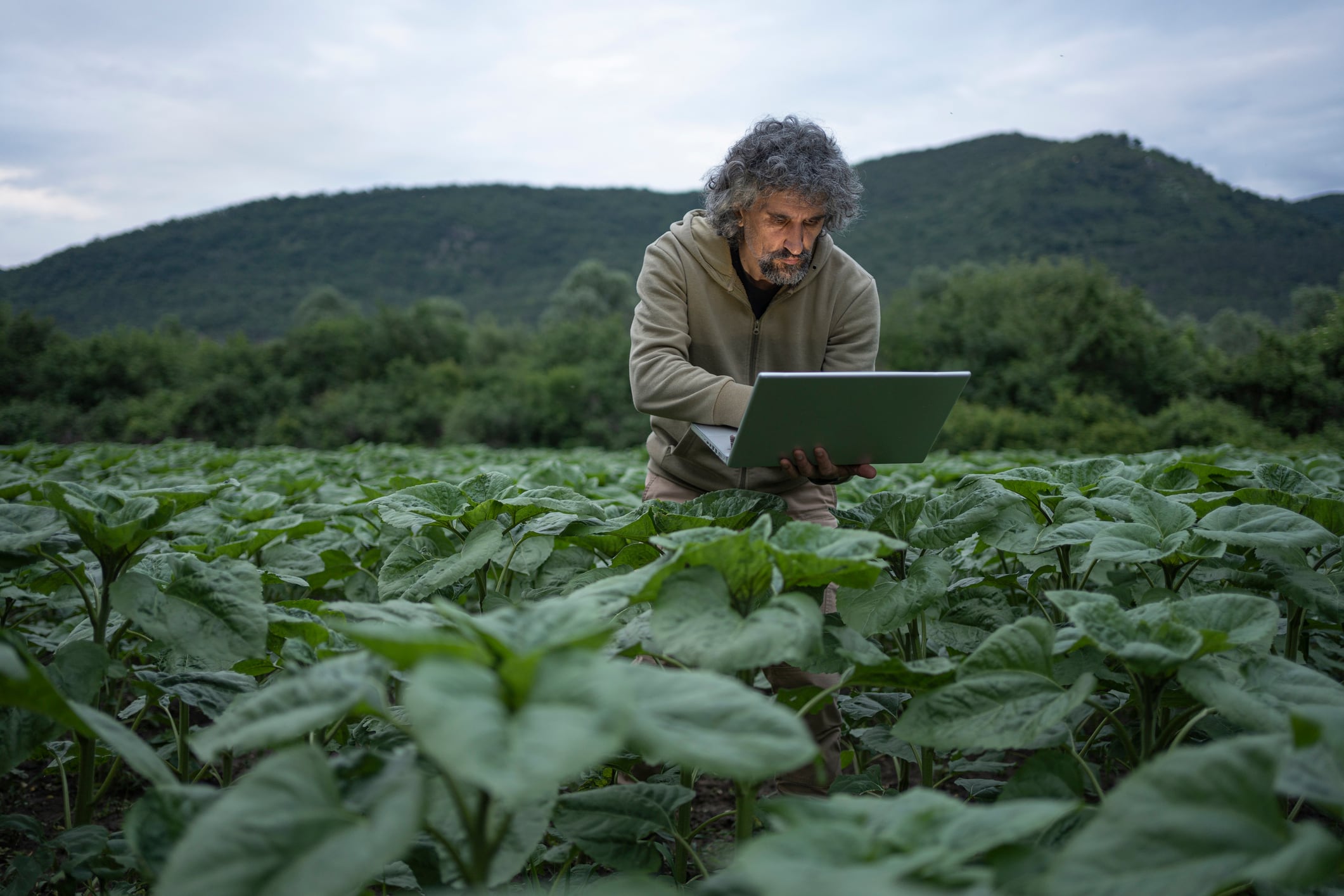 Sustainability progress on farms “going unnoticed”, say farmers.