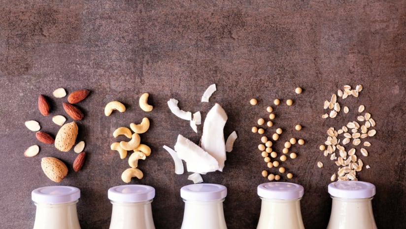 Protein Vision 2024 - Alt Dairy