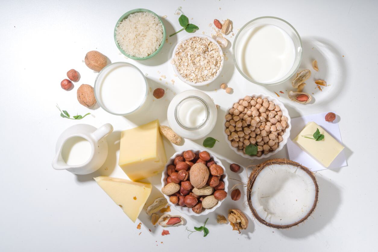 high-protein plant-based cheese concepts