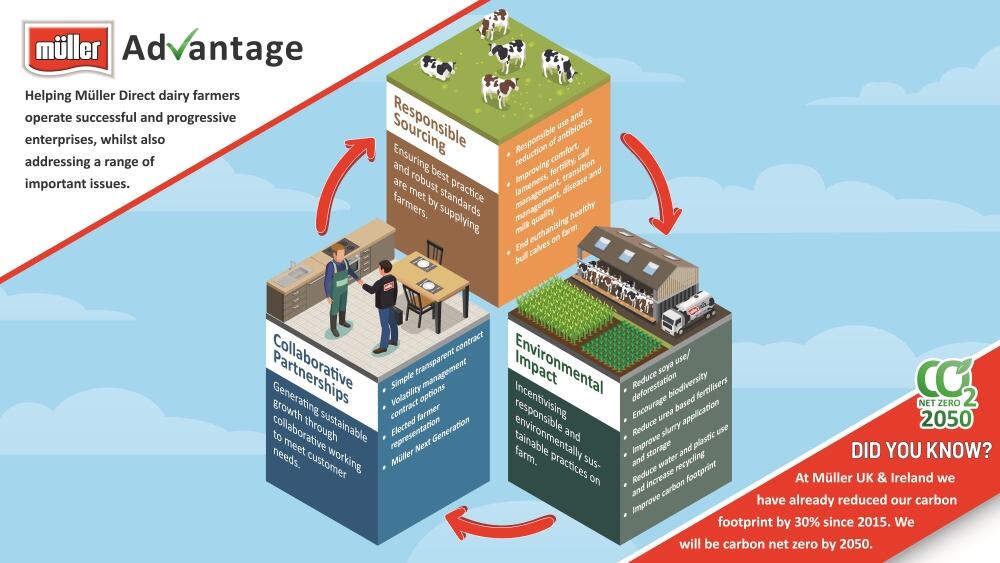 Advantage_infographic.jpg