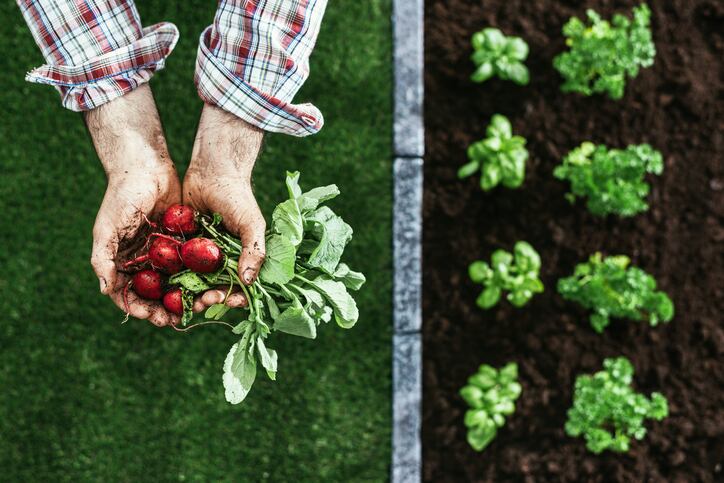 Crowdfunding for sustainable agri-food: Carrefour joins Danone backing MiiMOSA Transition