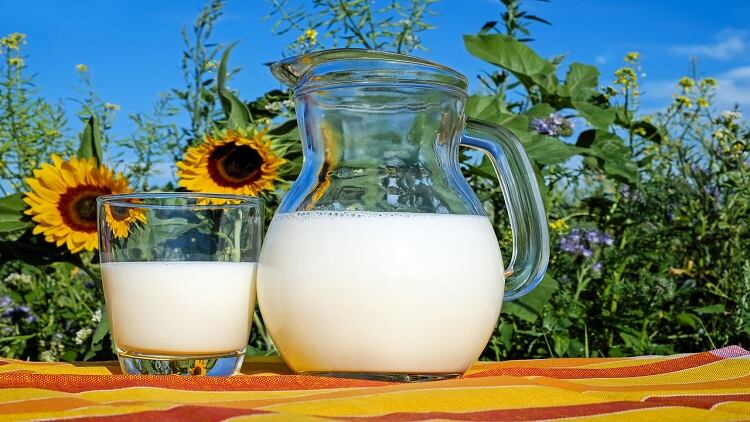 Japan dairy price hikes: Three major brands to pass on increased production costs