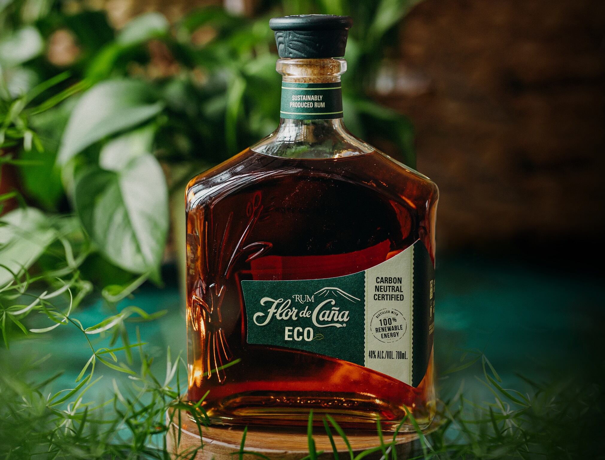 What's hitting the shelves? New beverages launching in December