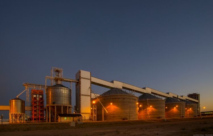 Louis Dreyfus Company ditches dairy 