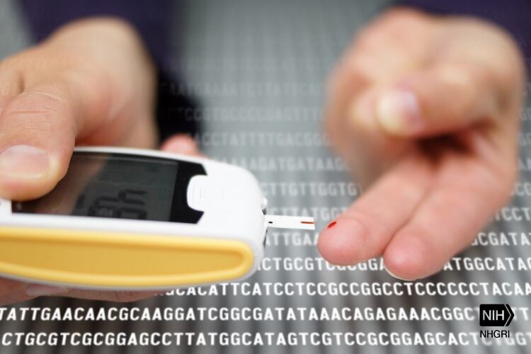 Study finds no benefits of dairy foods for blood sugar regulation