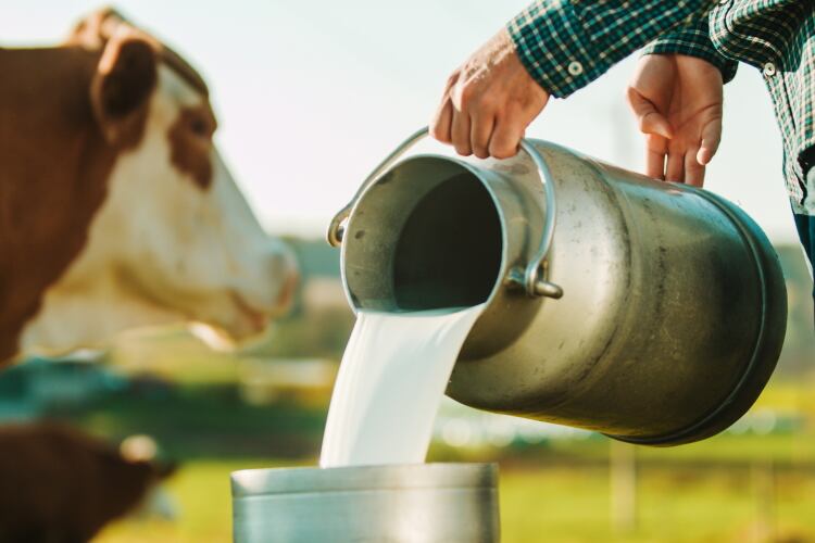 Fonterra reduces milk collections forecast as tough weather conditions put strain on production