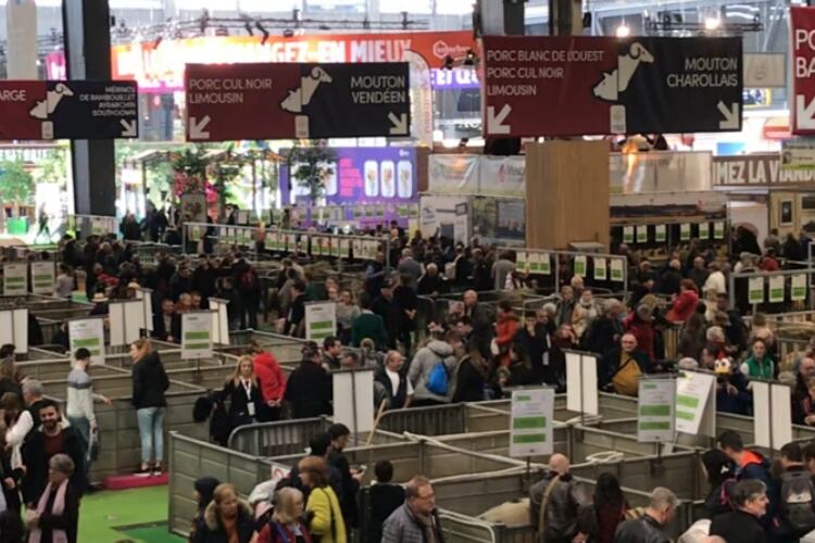 Food event picture mixed as coronavirus spreads 