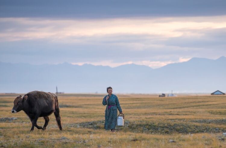 EBRD supports Mongolia’s Suu Milk dairy expansion