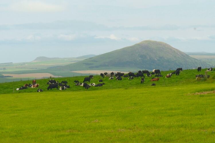 UK digital dairy project set to create 600 new jobs