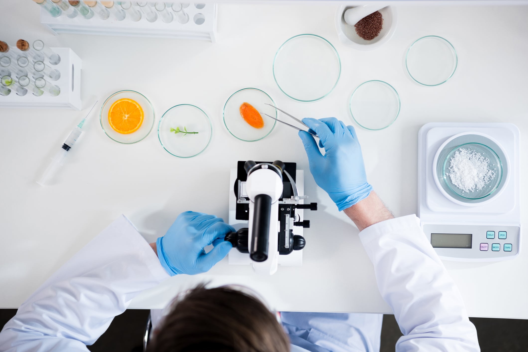 How AI can get your novel food approved faster