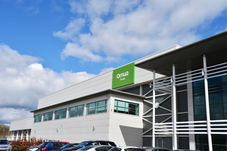 Ornua Foods UK announces £3m investment at Leek cheese packing facility
