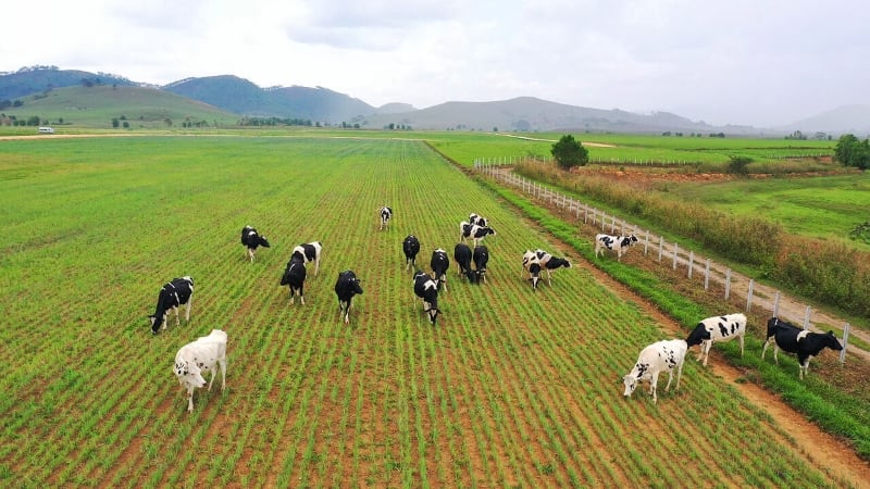 vinamilk-Laos-2.jpg