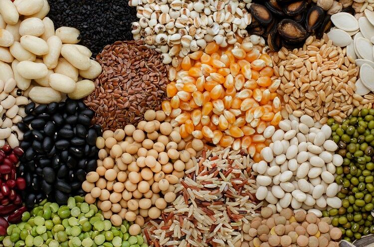 plant-proteins-Nopparat-Promtha.jpg