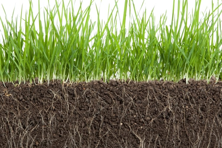 Group including FrieslandCampina develops carbon sequestration calculation tool