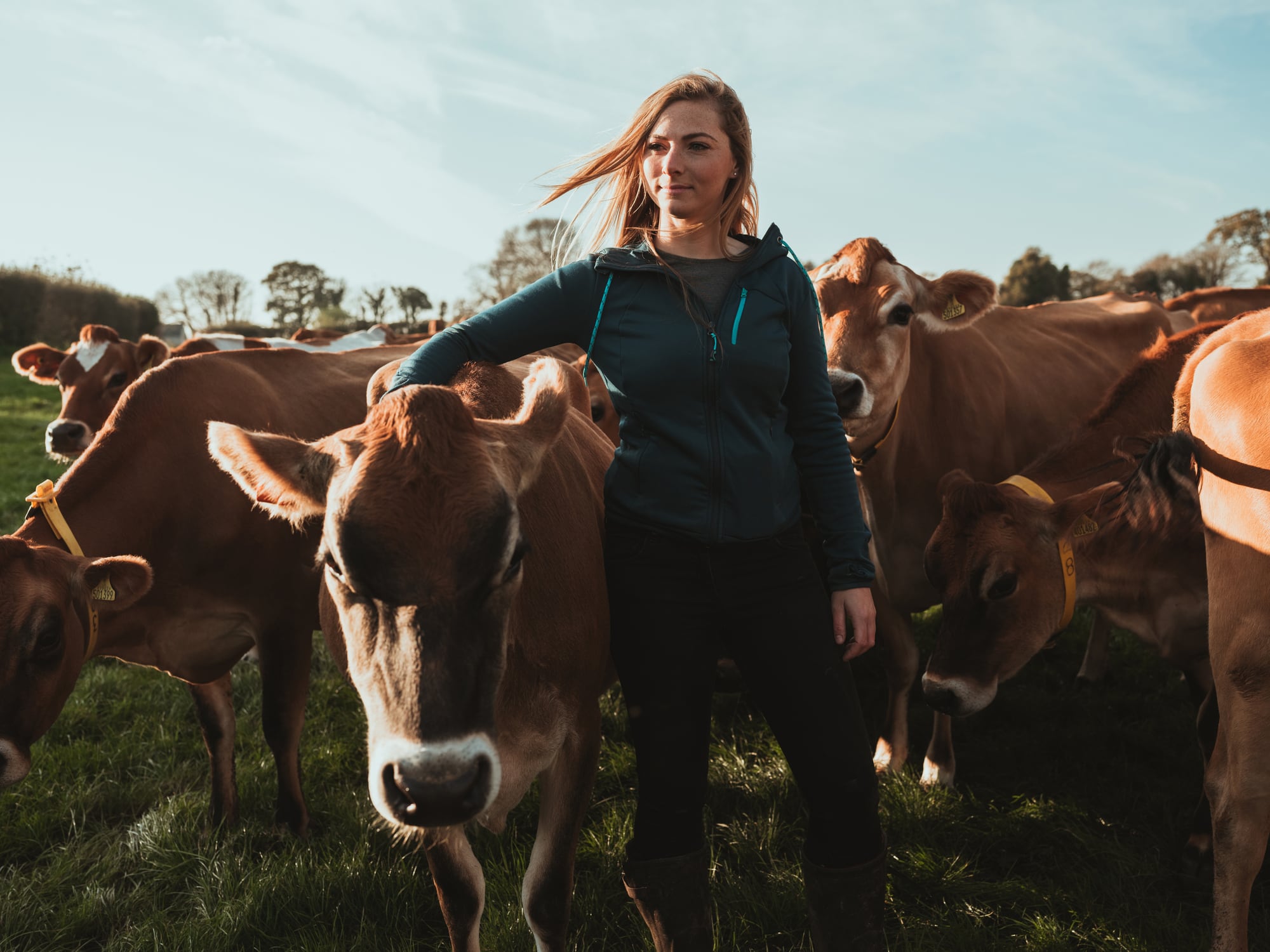 Young Female Farmer using Milking Machine