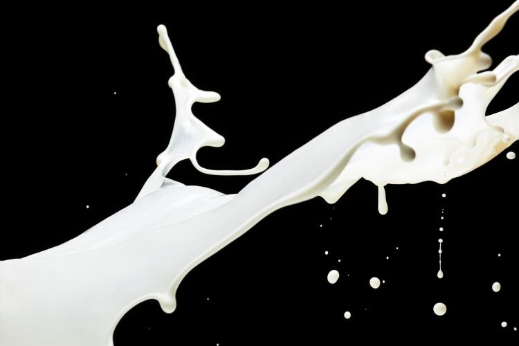 Africa’s first cultivated dairy product is in the works as De Novo Dairy secures UM6P Ventures funding