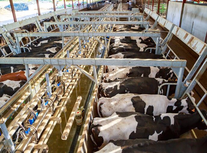 Agropur launches North America’s first dairy accelerator