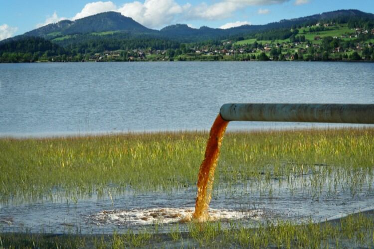 Müller pays wildlife charity more than $124,000 over ammonia spill