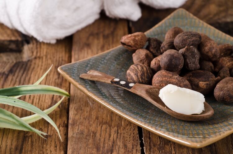 shea-luisapuccini.jpg