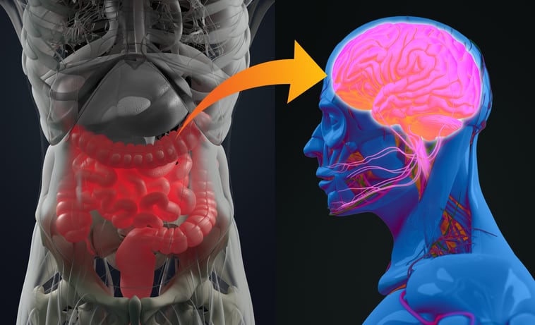 Probiotic strain may increase happiness and reduce stress: Study