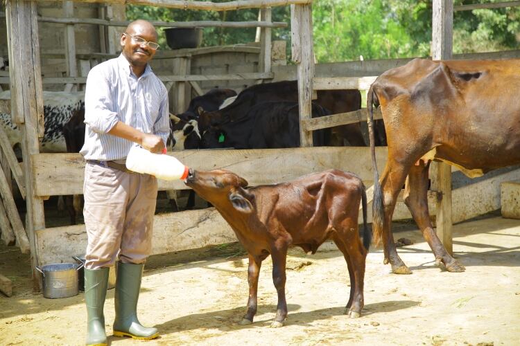 New-partners-join-CNDDD-to-accelerate-sustainable-dairy-development-in-Nigeria.jpg