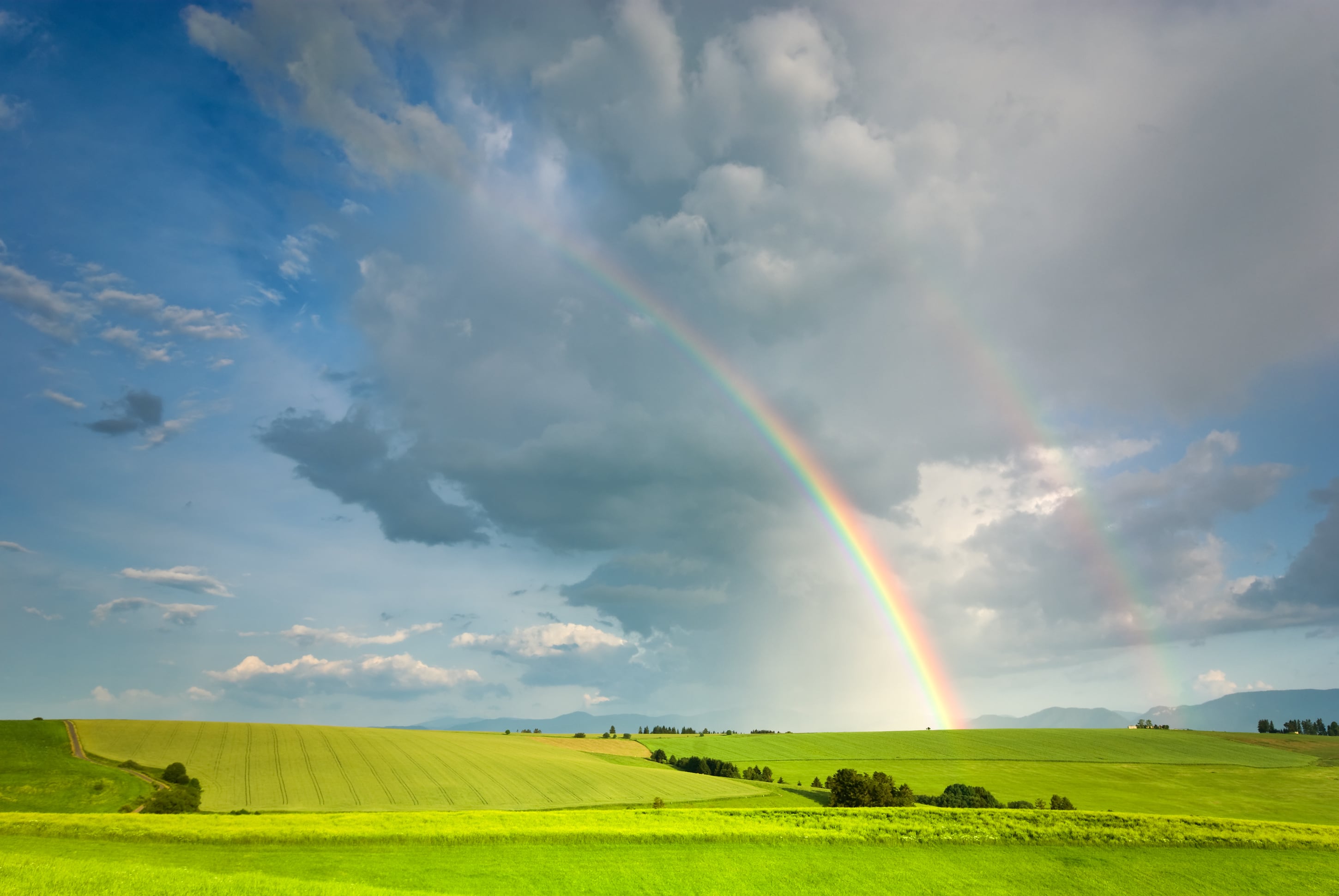 No rain: Calls to action launched as UK farmers told to assess forage needs