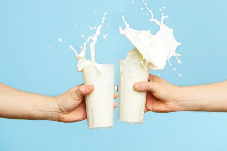 Standard bacterial testing for organic raw milk is 'not sufficient', study finds