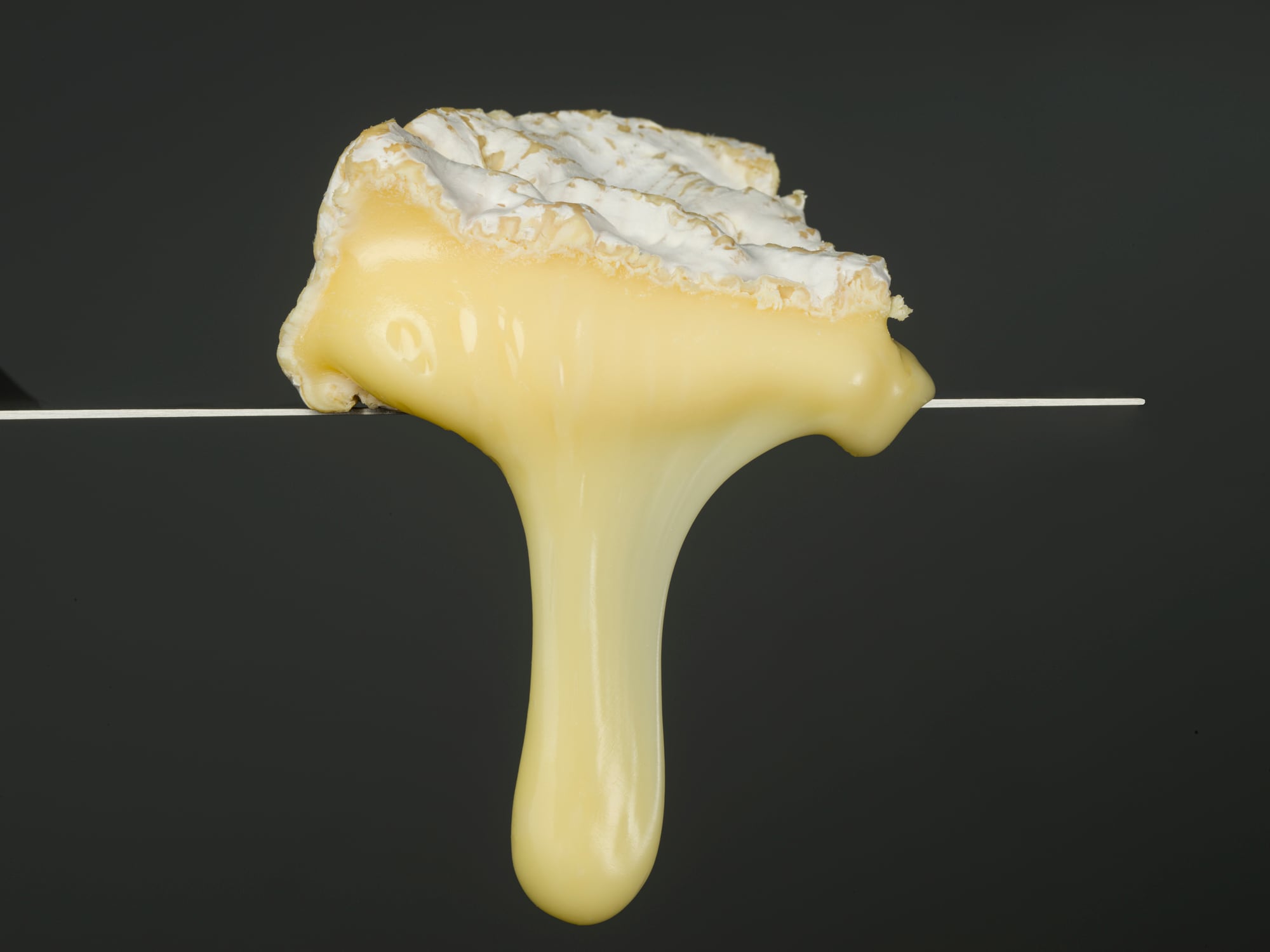 Close up Camembert cheese melting on spatula against black background