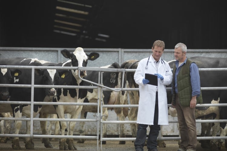 Ready for Guidance #263? New antibiotics regs kick in this week