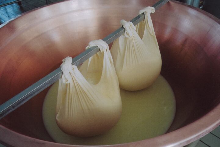 Parmigiano-Reggiano-Cheese-Consortium-3.png