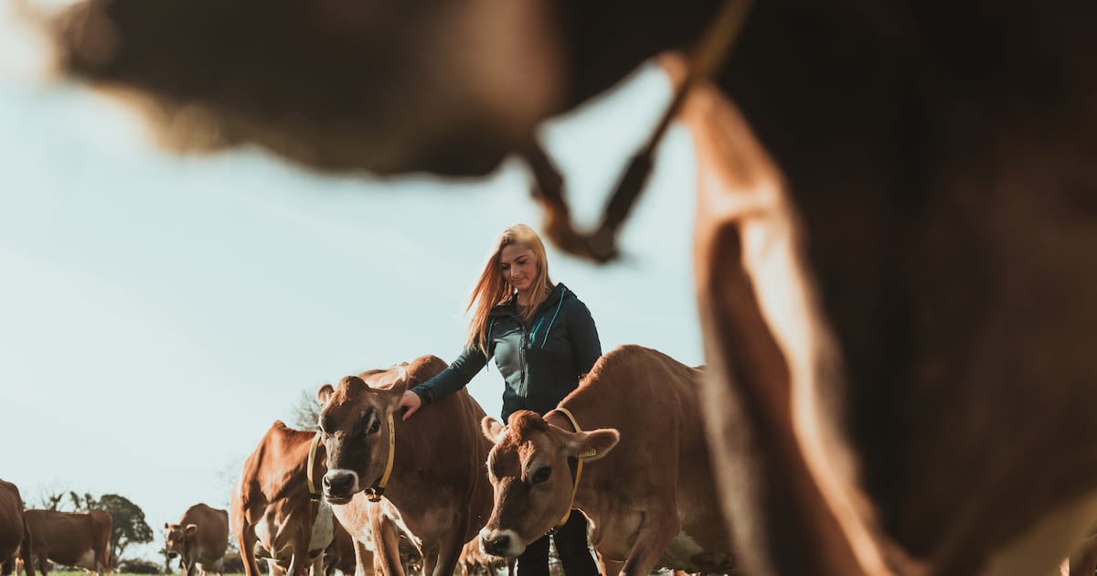 UK dairy farmers face worsening skills shortage