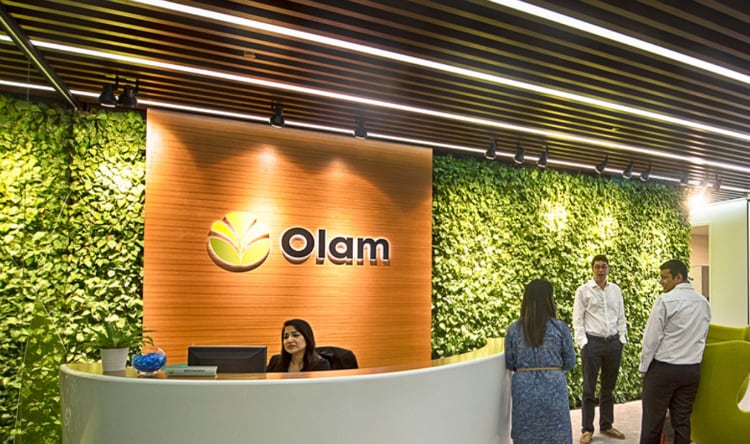 Olam Group shares rally as ofi delivers solid earnings growth