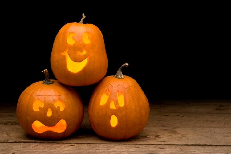 Fighting pumpkin waste