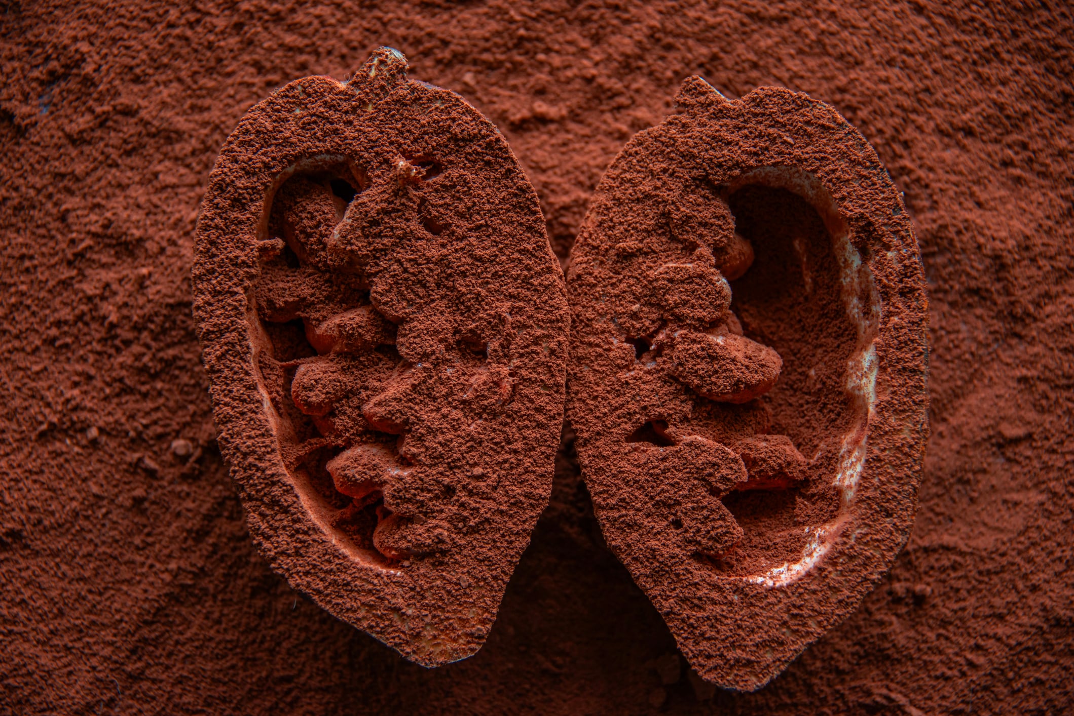 Cacao pods dusted with cocoa powder