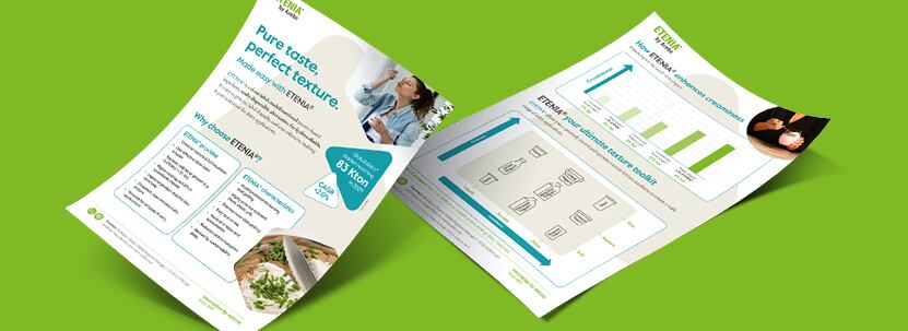 Avebe booklet