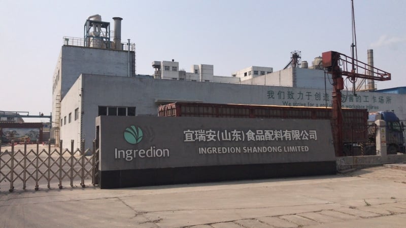 SD-plant.jpg