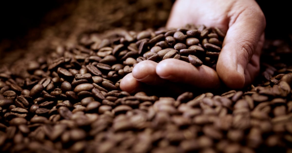 Can Ebola disrupt coffee prices and stocks?