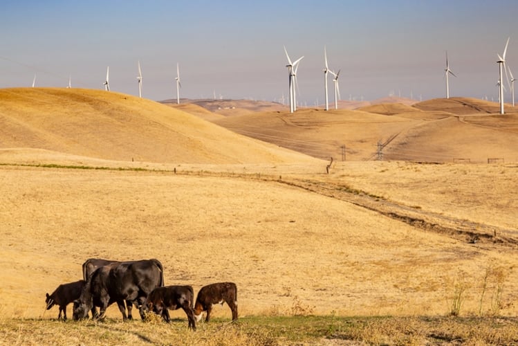 California-receives-1.8m-Dairy-Business-Innovation-Initiative-Award-for-Pacific-Coast-Coalition.jpg