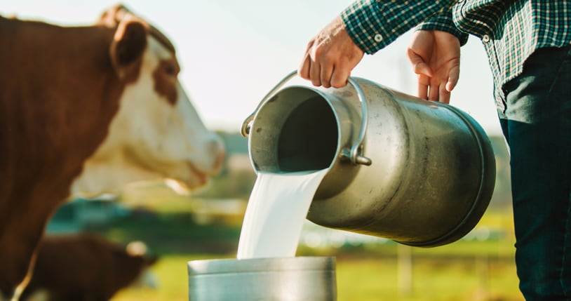 Dairy sales - across categories - are surging as consumers seek foods and beverages that support their wellness goals and fit their budgets in the ongoing inflationary economy.