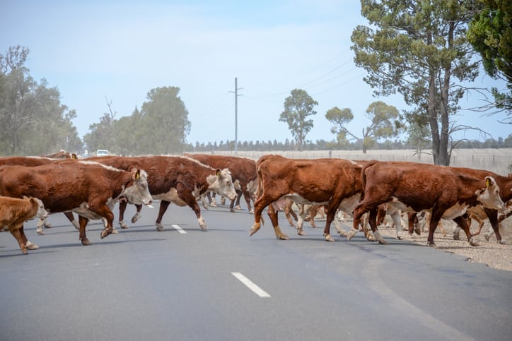 Startup modulating the rumen microbiome to suppress methane  